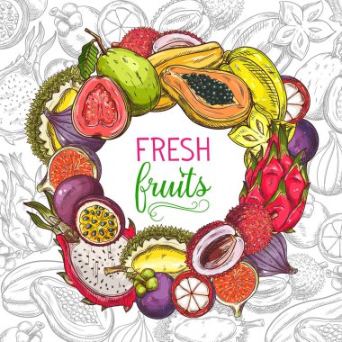 Tropikal meyve pankartı, egzotik meyve vektörü çizimi. El yapımı papaya, guava, muz ve tutku meyvesi, durian, mangosteen, carambola ve pitaya dragon meyvesi bütün ve dilimlenmiş arka plan