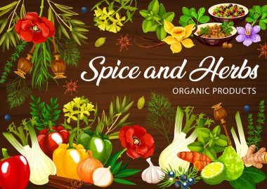 Baharatlar, bitki çeşnileri, bitkisel tatlar, vektör pişirme çeşnileri. Organik sarımsak ve fesleğen, vanilya ve tarçın, kereviz, soğan ve yabanturpu, adaçayı ve defne yaprağı.