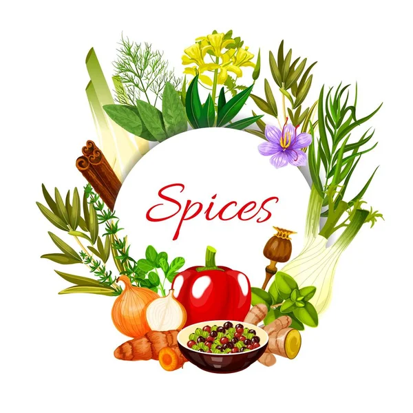 Spices Seasonings Food Cooking Flavorings Vector Herbal Condiments Farm Grown — Stock Vector