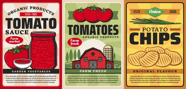 Tomatensaus Ketchup Aardappel Chips Boerderij Voedingsmiddelen Vector Retro Vintage Posters — Stockvector