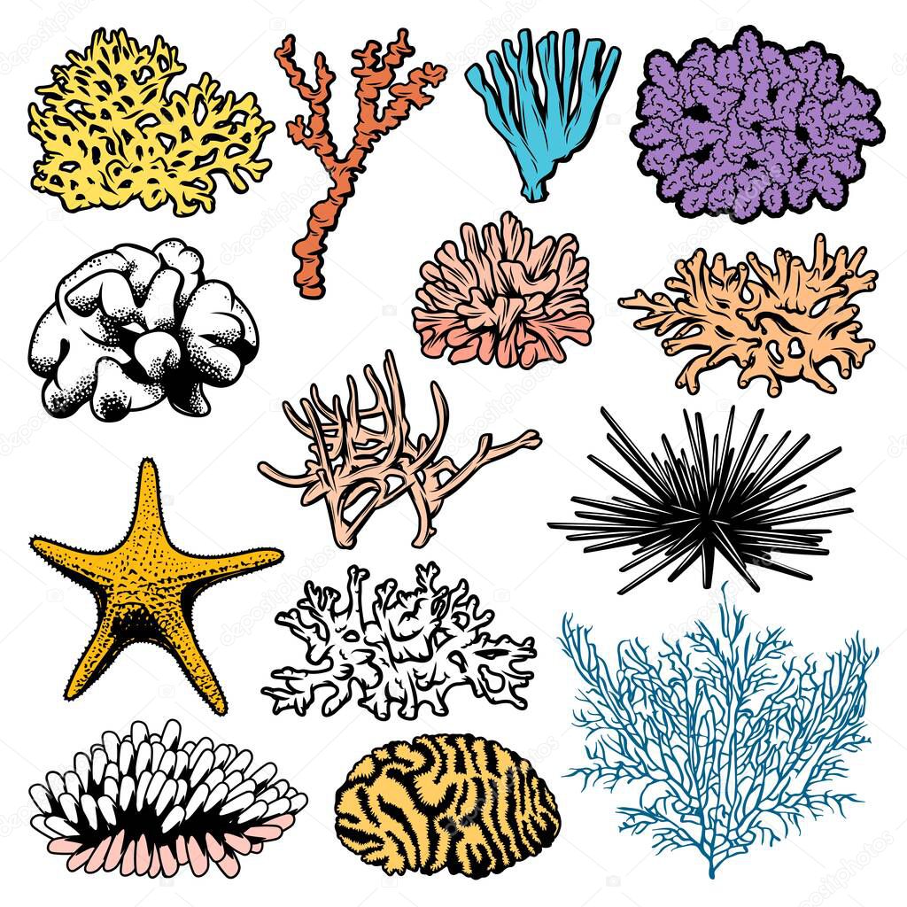 Underwater corals, polyps, sea urchins and starfish vector icons. Oceanarium ocean starfish, sea urchin and polyps, aquarium fauna, marine anemones and ocean reef habitats