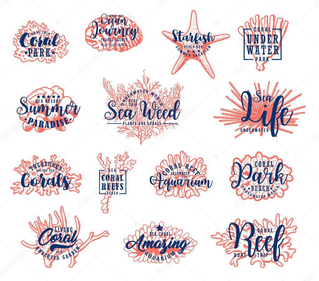 Underwater sea corals, starfish and polyps, vector sketch icons. Summer beach resort, ocean boat trips and travel, hand drawn oceanarium coral reef starfish and aquarium seaweed, sea life symbols
