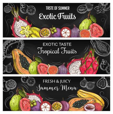 Tropikal meyve çizimi vektör pankartları. El yapımı egzotik meyveler yatay tebeşirle çizilmiş pitahaya ejderha meyvesi ve karambola, mangosteen ve incir, guava ve papaya, maracuya, siluetli lychee