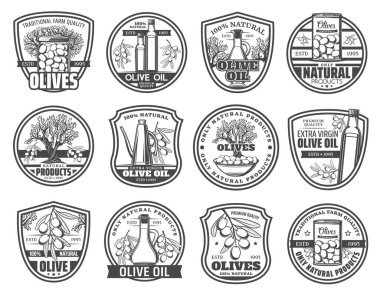 Zeytin ve yağ şişeleri izole vektör simgeleri. Sürahide ekstra bakire yağı, ağaç dallarında olgun zeytin, şişe ve kutu. Akdeniz mutfağı doğal organik monokrom simgeleri