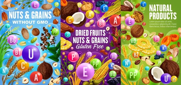 Granos Cereales Frutos Secos Gmo Sin Gluten Vector Trigo Centeno — Archivo Imágenes Vectoriales