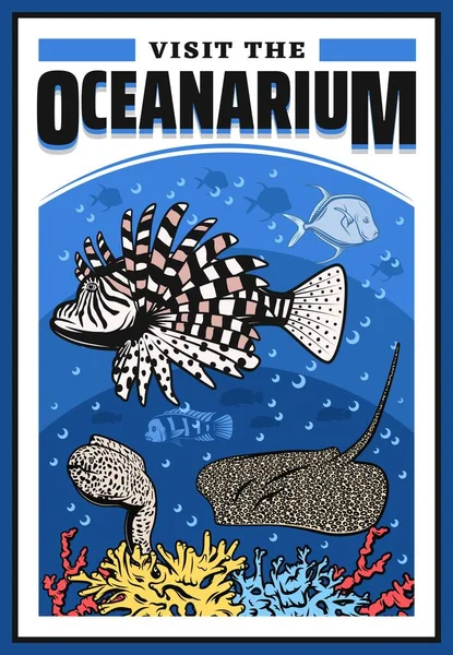Oceanarium Lwią Rybką Węgorzem Morskim Płaszczem Koralowcami Podwodny Pokaz Dzikiej — Wektor stockowy