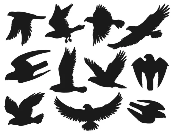 Águilas Halcones Conjunto Siluetas Negras Vector Aves Voladoras Salvajes Desplegar — Vector de stock