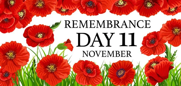 Remembrance Day Poppy Flowers Vector Poster Commonwealth National Memorial Tribute — Stock Vector