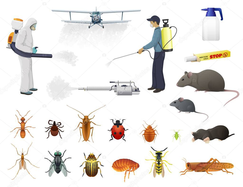 Disinfection, pest control, vector men in protective suits and airplane spraying pesticides against insects. Isolated bug, flea and cockroach, ant, tick and wasp extermination. Cold fogger with smoke