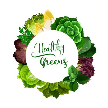 Salatalar ve sebzeler vektör çerçevesi etrafında. Cress salatası, Belçika hindiba ve hindiba, bok choy veya pak choy, chard ve rogula, ıspanak ve doru, buzdağı marulu ve lahana. Sağlıklı yeşillik