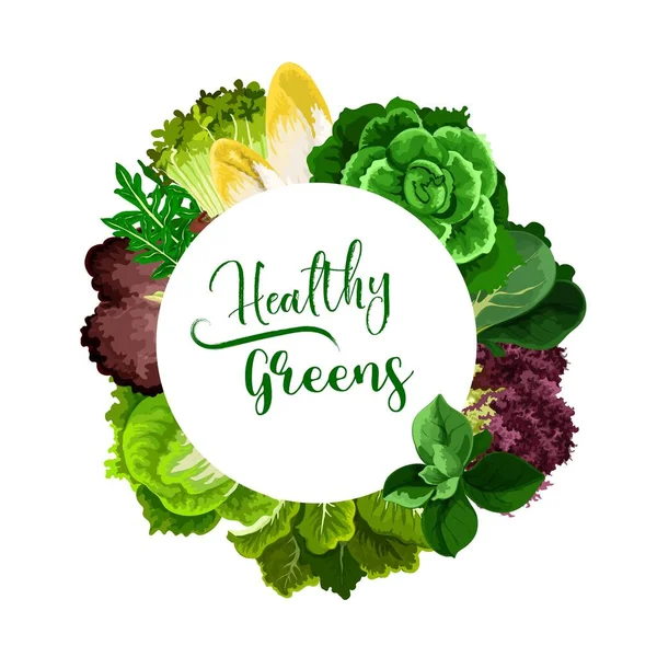 Saláták Zöldségek Kerek Vektor Keret Cress Saláta Belgiumi Endívia Cikória — Stock Vector