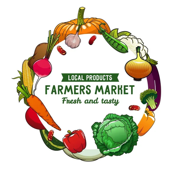 Farm Vegetables Veggies Vector Banner Pumpkin Onion Garlic Cauliflower Cabbage — Stock Vector