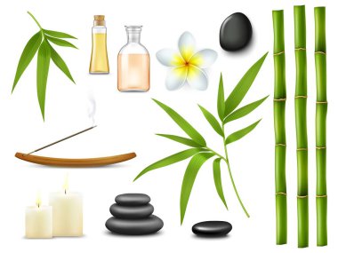 Spa ve masaj salonu tedavileri gevşetiyor. İzole vektör aromaterapi yağı, gerçekçi bambu çubukları ve yapraklar, frangipani çiçeği. Taş yığınları ve yanan mumlar, sağlık masajı.