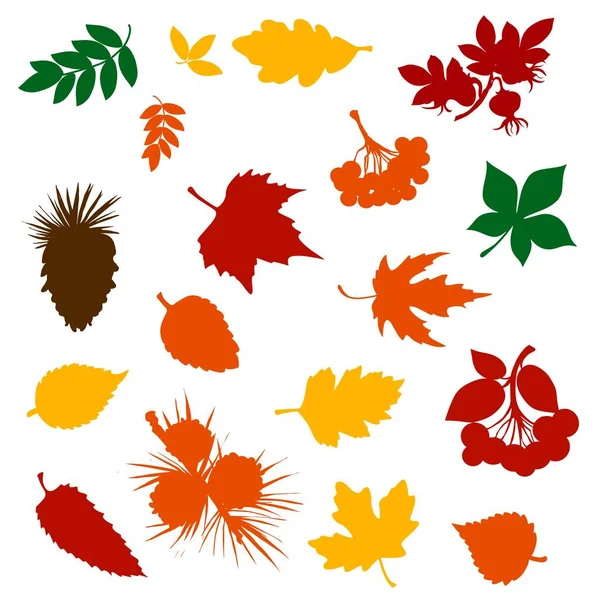 Autumn Fallen Leaf Colour Silhouettes Forest Tree Fruits Berries Pinecones — Stock Vector