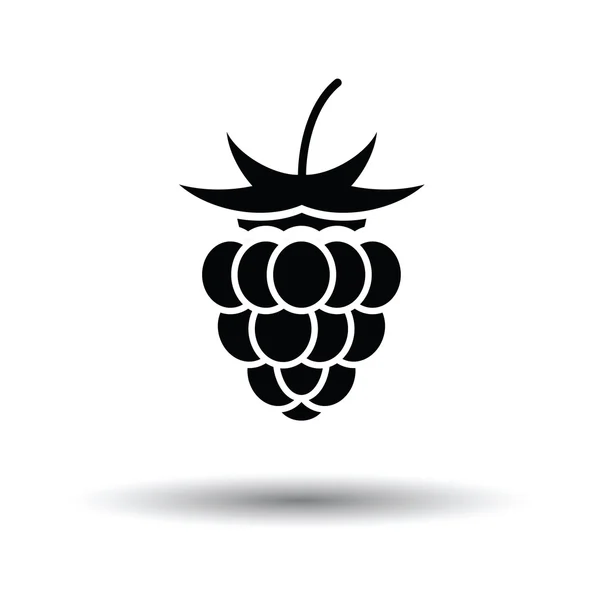 Raspberry pictogram met schaduw ontwerp — Stockvector
