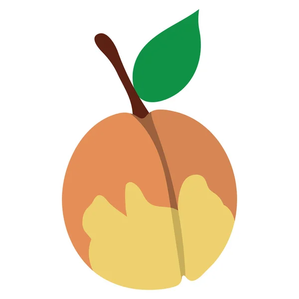 Flat design icon of Peach — Stock Vector