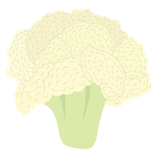 Icono Coliflor Diseño Color Plano Ilustración Vectorial — Archivo Imágenes Vectoriales