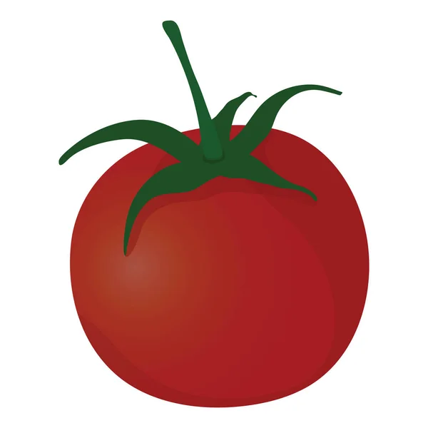 Icône Tomates Conception Couleur Plate Illustration Vectorielle — Image vectorielle