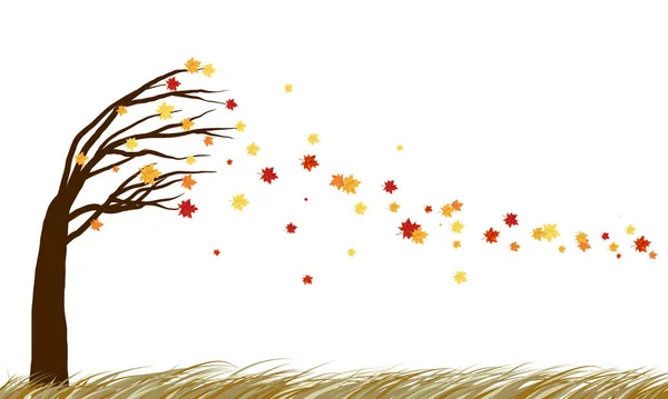 Autumn Design Tilting Maple Tree Blowing Away Leaves White Background — Stockvektor