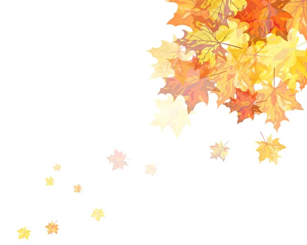 Autumn Frame Falling Maple Leaves Sky Background Elegantní Design Paprsky — Stockový vektor