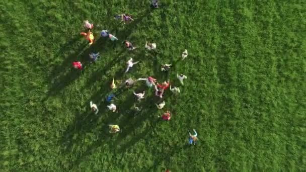 Kinderen lopen over het veld — Stockvideo