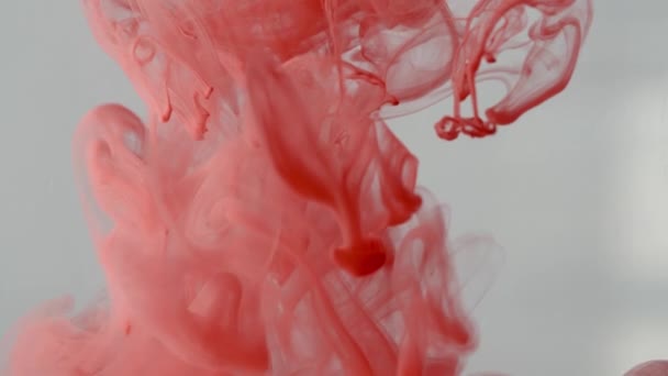 Tinta de pintura roja se extiende en el agua — Vídeo de stock