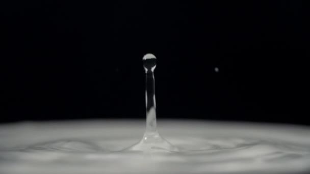 Вода падає чорний макро повільний рух 13 — стокове відео