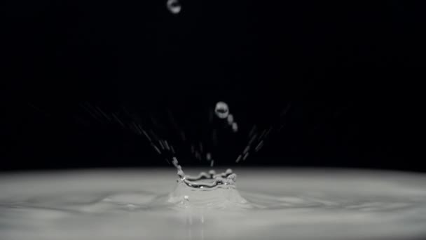 Gotas de agua Macro negro de cámara lenta 14 — Vídeos de Stock
