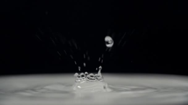 Siyah makro yavaş hareket 17 su damlaları — Stok video