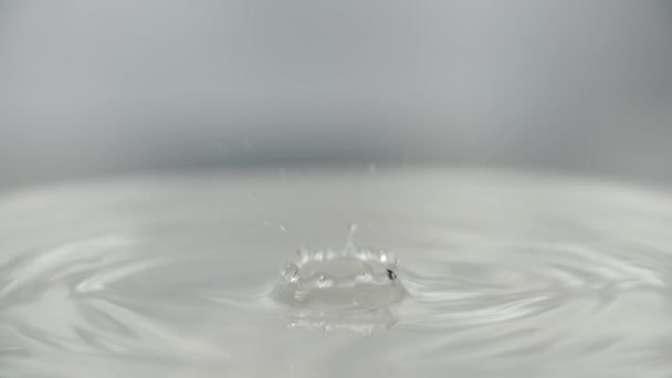 水滴と水しぶきマクロ 9 — ストック動画