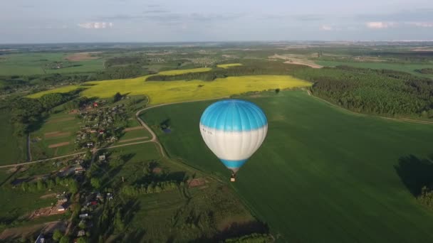 뜨거운 공기 풍선 필드와 숲을 통해 비행 하는 공중 보기 하늘에 — 비디오