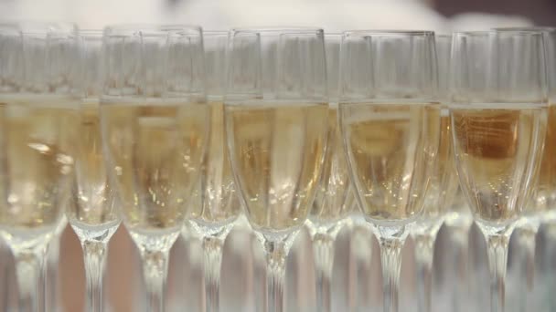 Champagne i glasen — Stockvideo