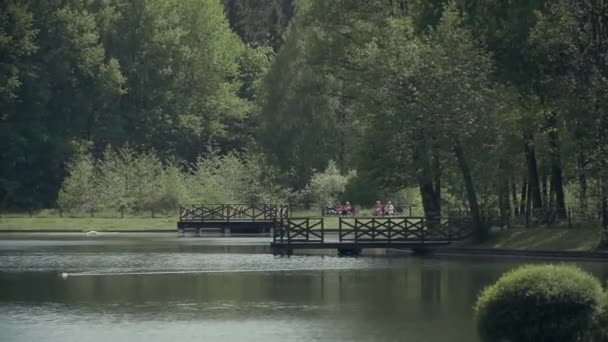 Innsjøen i en park – stockvideo