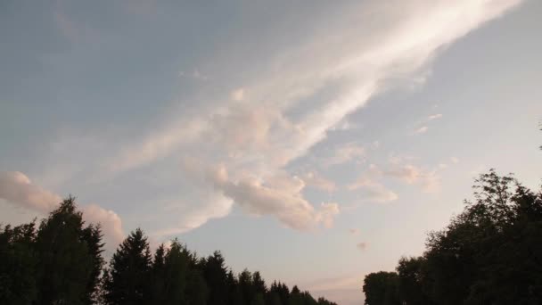 Nubes y árboles de la tarde — Vídeo de stock