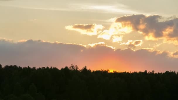 Zonsondergang met wolken boven het bos — Stockvideo
