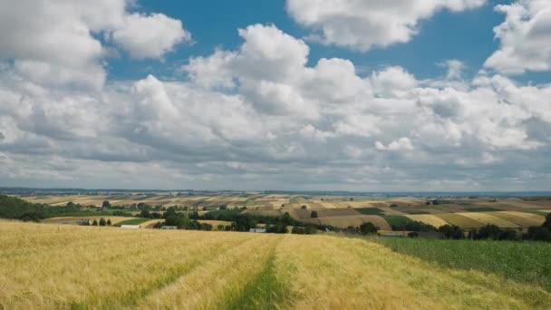 Campo agrícola y cielo azul nublado — Vídeo de stock