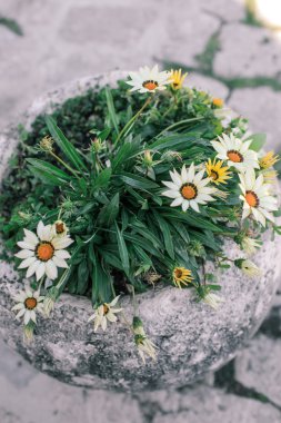 Çiçekli eski taş kaplar 