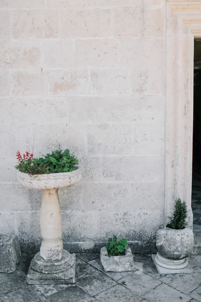 Old Stone Pots with Flowers — Stock Photo, Image