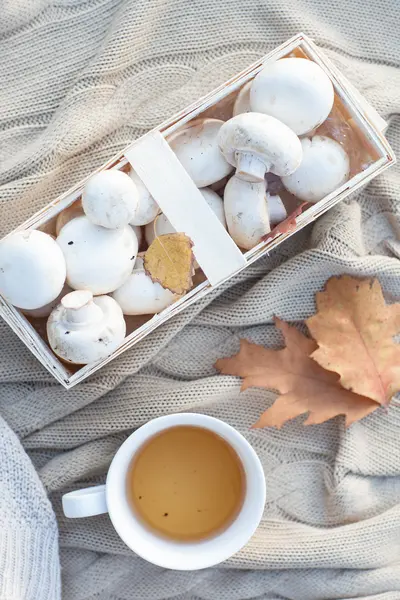 Varm Stickad tröja, kopp varmt te och röd termos. Still life — Stockfoto