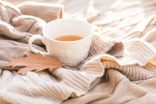 Теплый вязаный свитер, чашка горячего чая и красный термос — стоковое фото