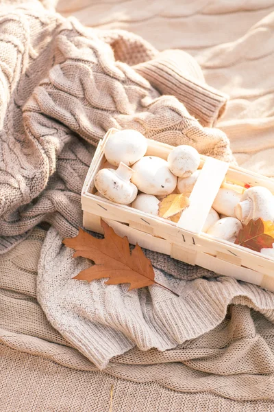 White champignon mushrooms in wicker basket on knitted backgroun — Stock Photo, Image