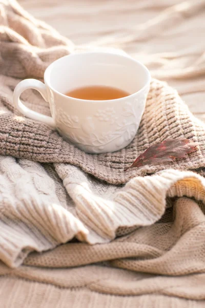 Warm knitted sweater,cup of hot tea and red thermos — Stock Photo, Image