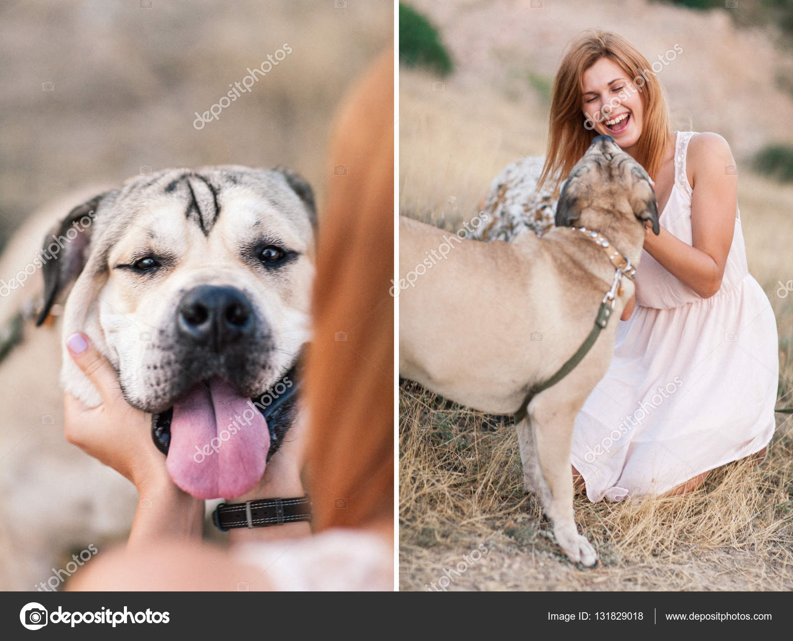 Junge Kaukasierin geht bei Sonnenaufgang mit Hund spazieren