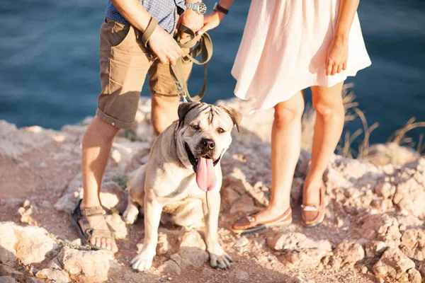 Par killar leker med sin hund på berget nära havet — Stockfoto