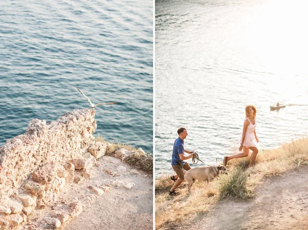 Par killar leker med sin hund på berget nära havet — Stockfoto