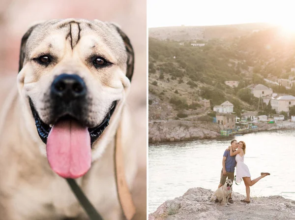 Un par de tíos jugando con su perro en la montaña cerca del océano —  Fotos de Stock
