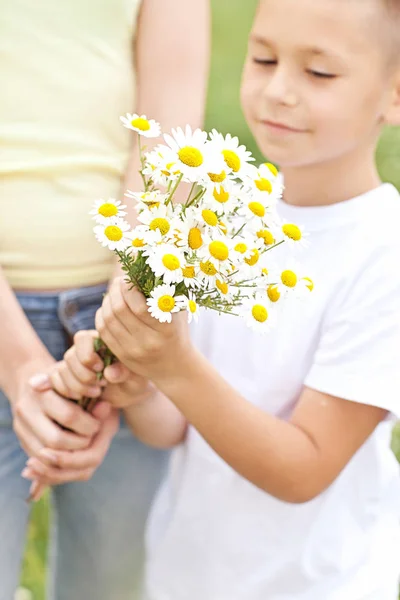 カモミールの花のフィールドに彼の息子との楽しみを持つ母親 — ストック写真
