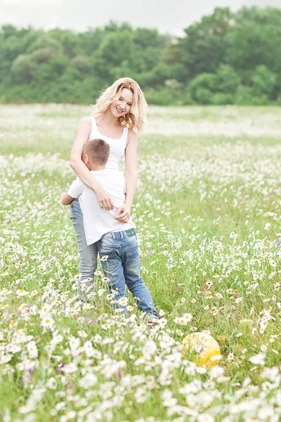 Matka, baví se svým synem v poli květ heřmánku — Stock fotografie