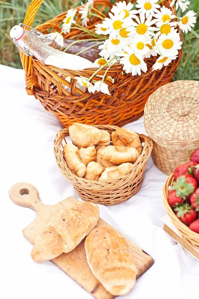 Letni piknik na polu podbicie — Zdjęcie stockowe