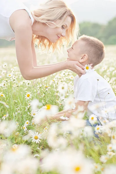 Mama se distrează cu fiul său în câmpul de flori al mușețelului — Fotografie, imagine de stoc